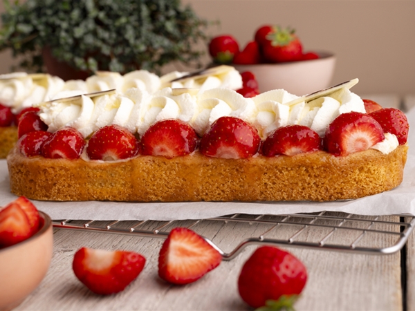 AARDBEIEN SLOF